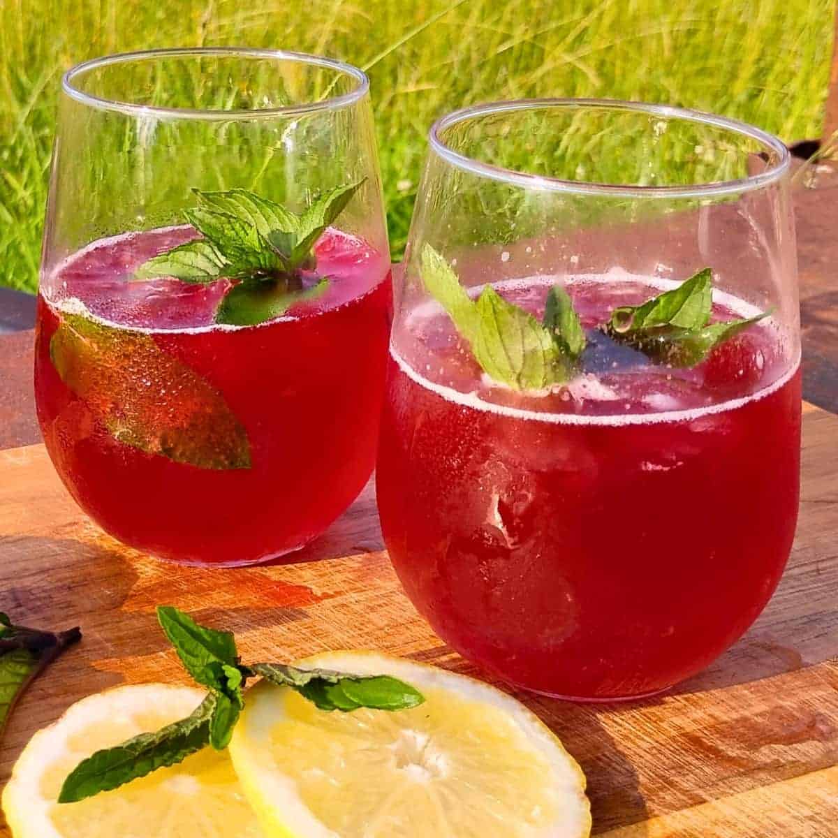 two glasses filled with fizzy, probiotic, fermented hibiscus soda with mint leaves and a few lemon slices and a mint leave inthe foreground.