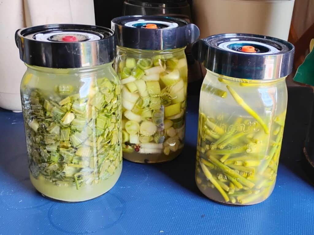 several jars full of fermented foods on a counter.