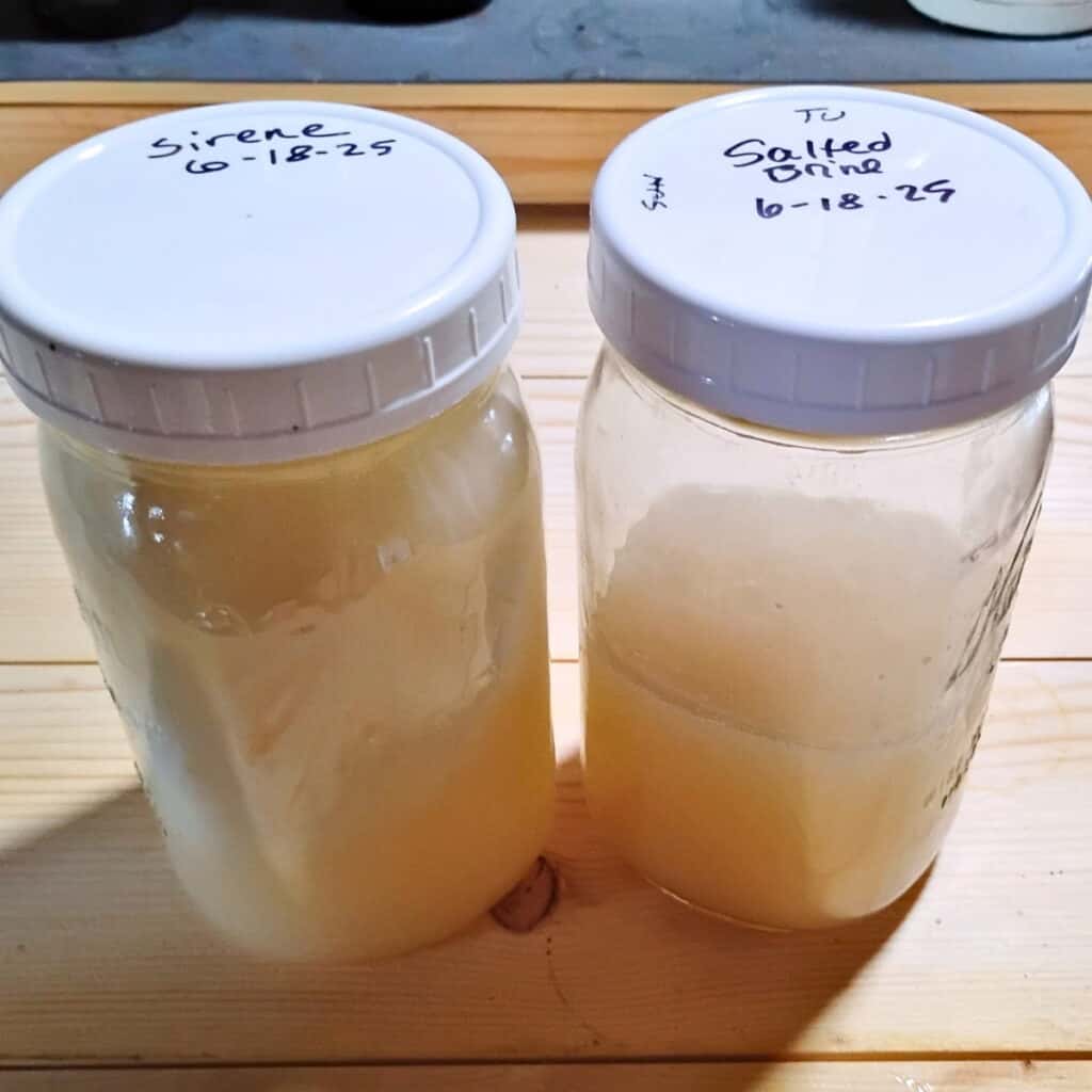 two jars, one with sirene chunks and brine and the other with leftover brine.