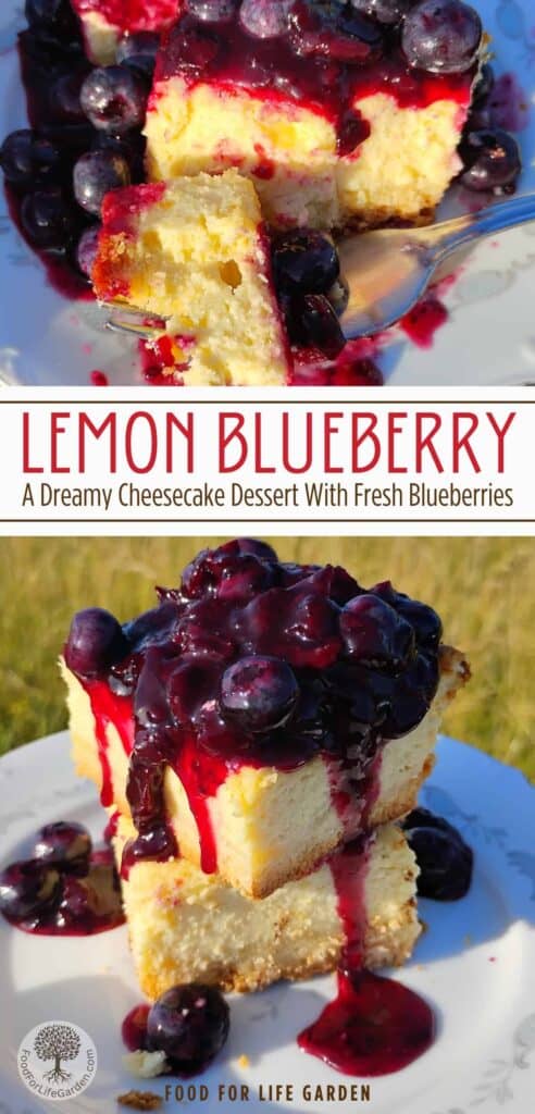 two photos of different views of lemon blueberry cheesecake bars text overlay reads lemon blueberry, a dreamy cheesecake dessert with fresh blueberries. food for life garden.