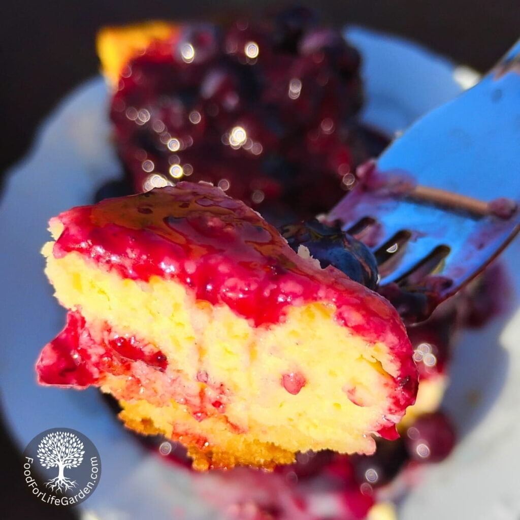 photo of a lemon blueberry cheesecake chunk on a fork with more cake in the background.