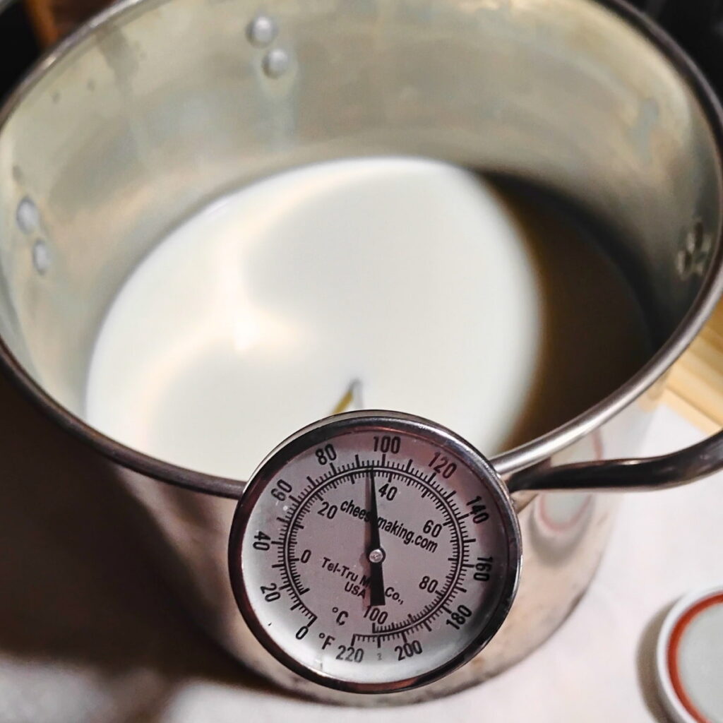 Milk that has been heated to 95 degrees.