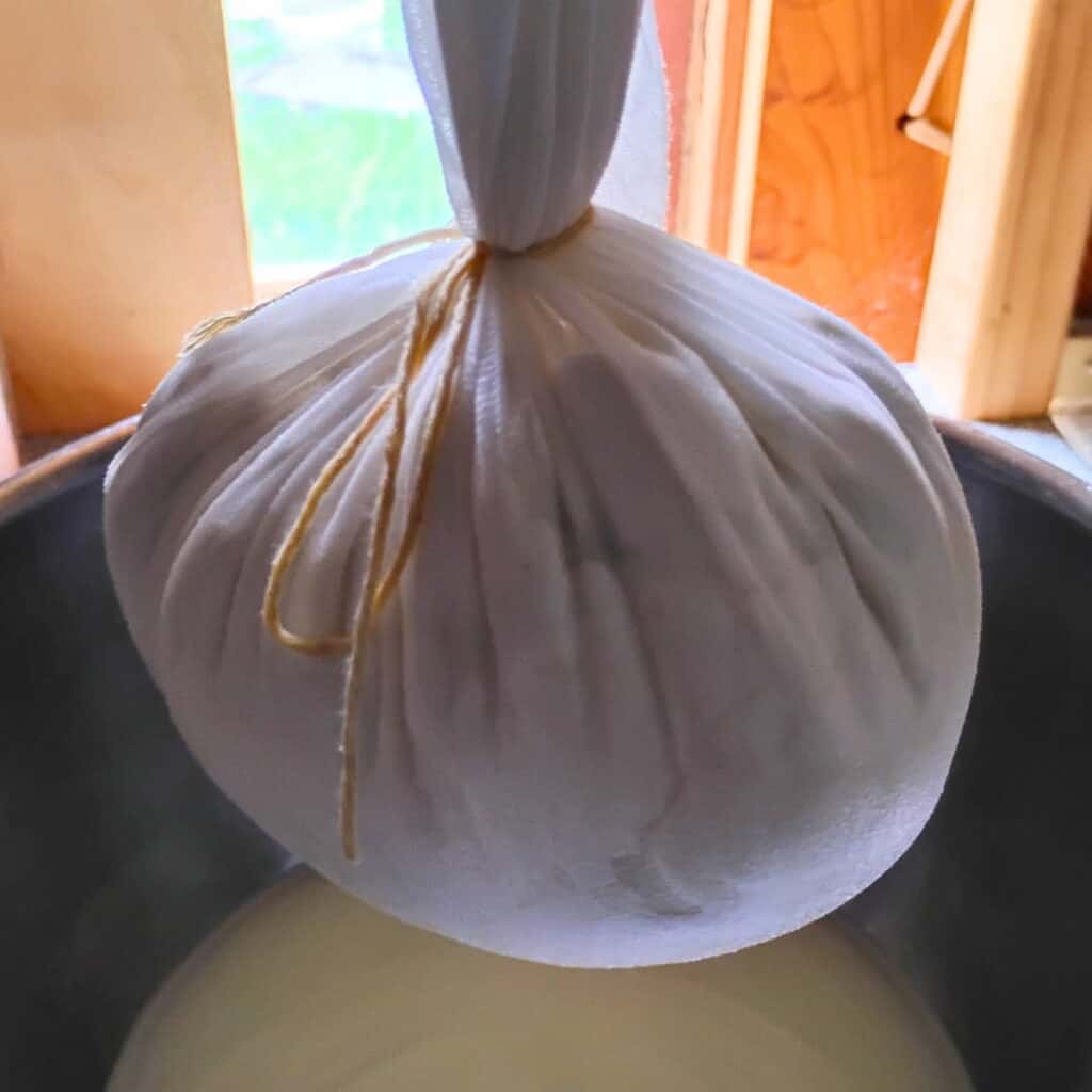 Cheese curds in a cheese cloth are tied up into a ball ready for pressing.
