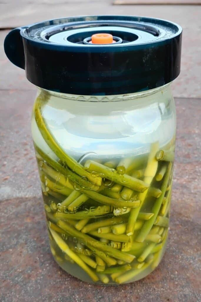 jar full of garlic scapes and brine, fermenting in a glass jar with a fermentation lid on it.
