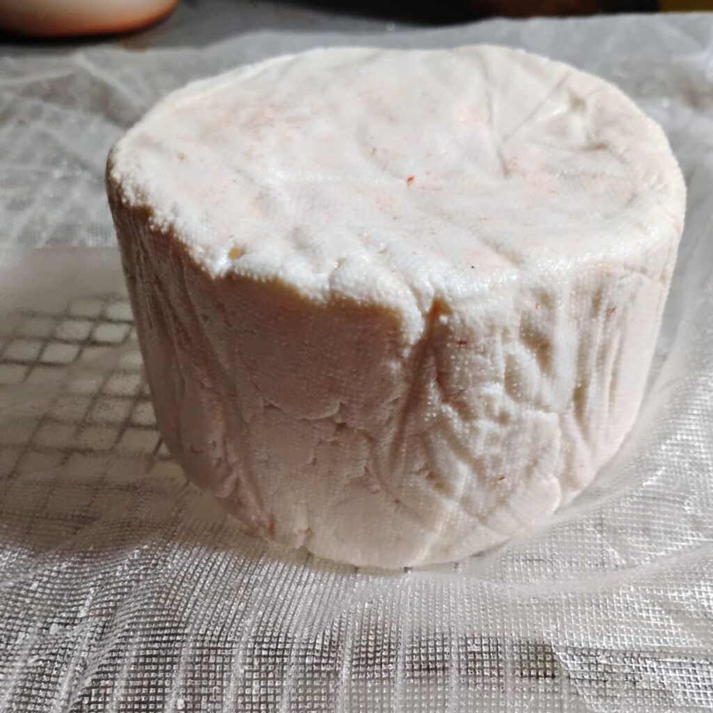 Feta cheese from a cheese mold.