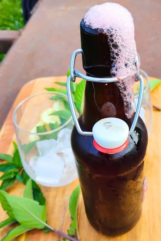 foreground shows a bottle with bubbling soda flowing out of it. behind it is a glass with ice cubes.