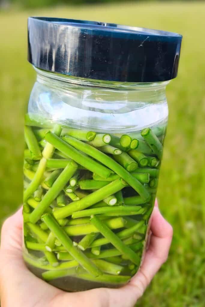 Jar full of fermented garlic scapes in a person's hand.