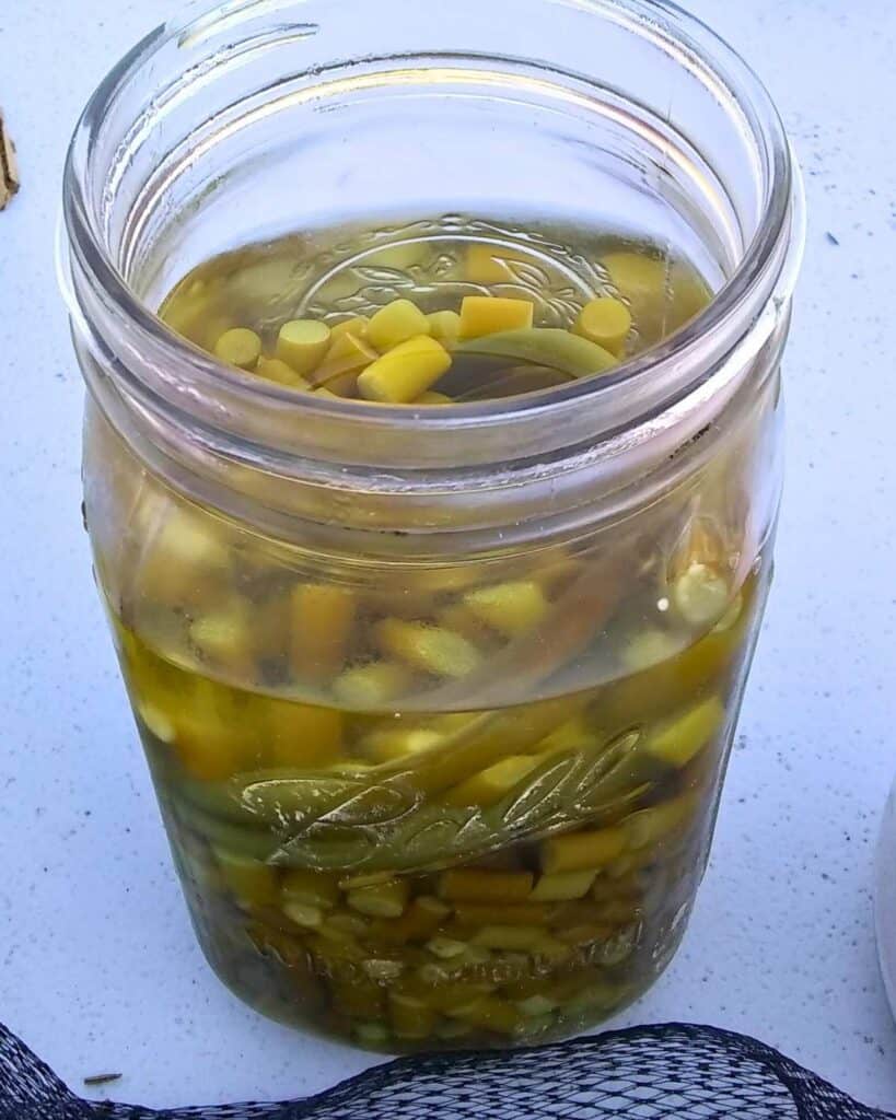 Jar full of 3 year old aged garlic scapes