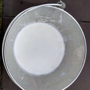 A milking bucket with fresh, handmilked, raw milk in it.