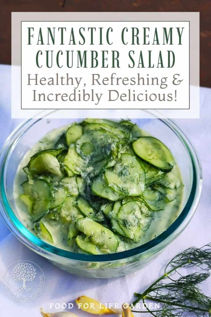 top view of a bowl filled with creamy cucumber salad. In front is a dill sprig and some garlic. text overlay reads fantastic, creamy cucumber salad. Healthy, refreshing and incredibly delicious. food for life garden.