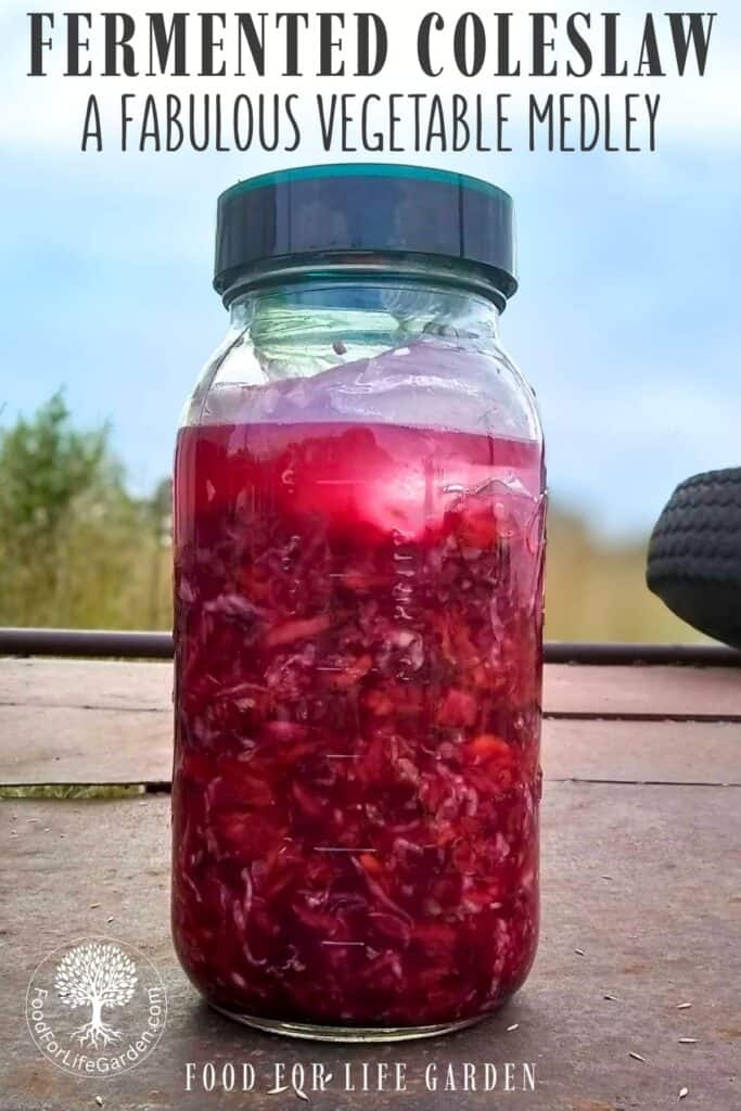 a jar filled with fermented coleslaw with root vegetables and a fermentation lid on a trailer bed. text overlay reads fermented coleslaw. A fabulous vegetable medley. food for life garden.