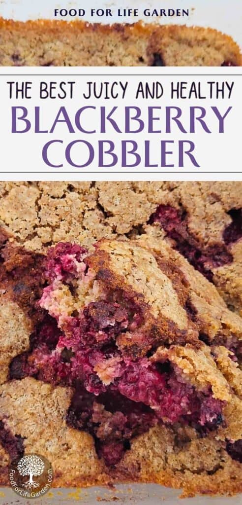 background photo of a blackberry cobbler with a piece getting removed. text overlay reads the best juicy and healthy blackberry cobbler. food for life garden.