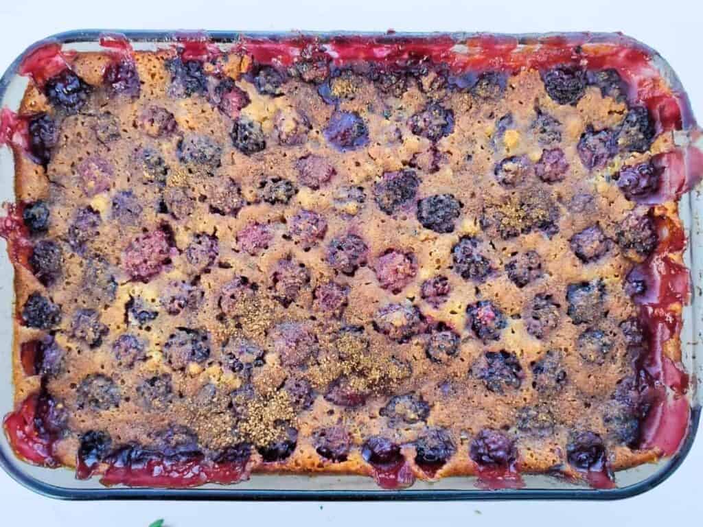 A blackberry cobbler in a dish after baking.