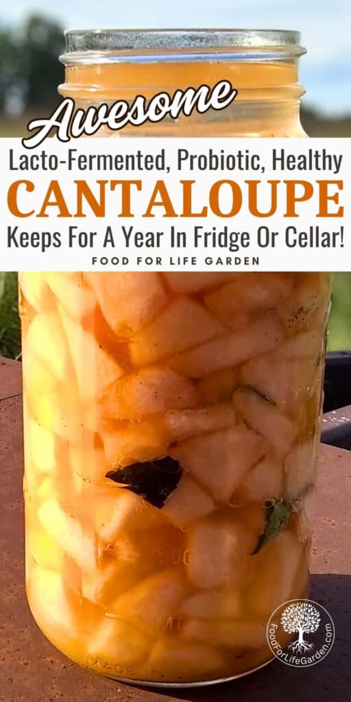 a large jar of fermented cantaloupe recipe ingredients ready for fermenting. text overlay reads awesome lacto-fermented, probiotic, healthy cantaloupe. keeps for a year in fridge or cellar. food for life garden. 