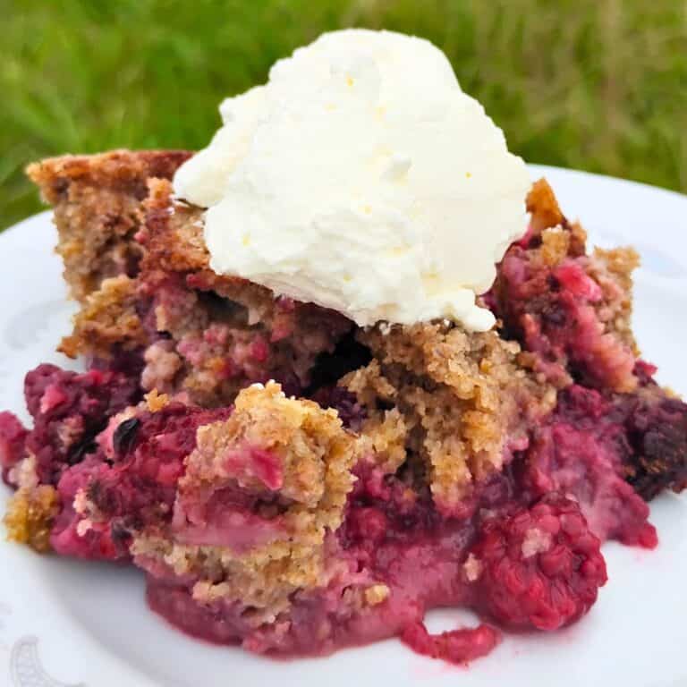 photo shows a pile of blackberry cobbler on a plate with some whipping cream on top.