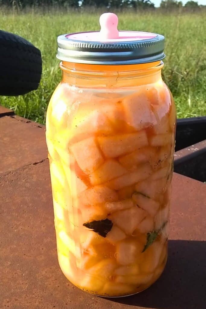 a large half gallon mason jar filled with cantaloupe and basil with a pickle pipe silicone top and a metal band holding it down. 