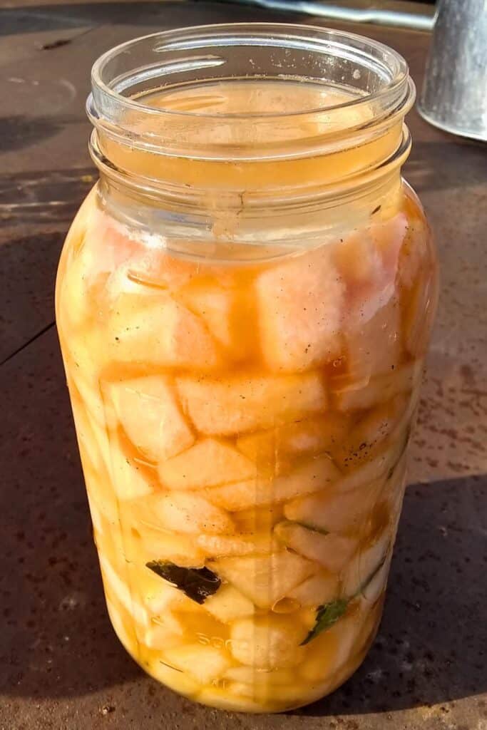 a half gallon jar on a trailer bed filled with fermented cantaloupe with spices ingredients and a fermentation glass weight on top.