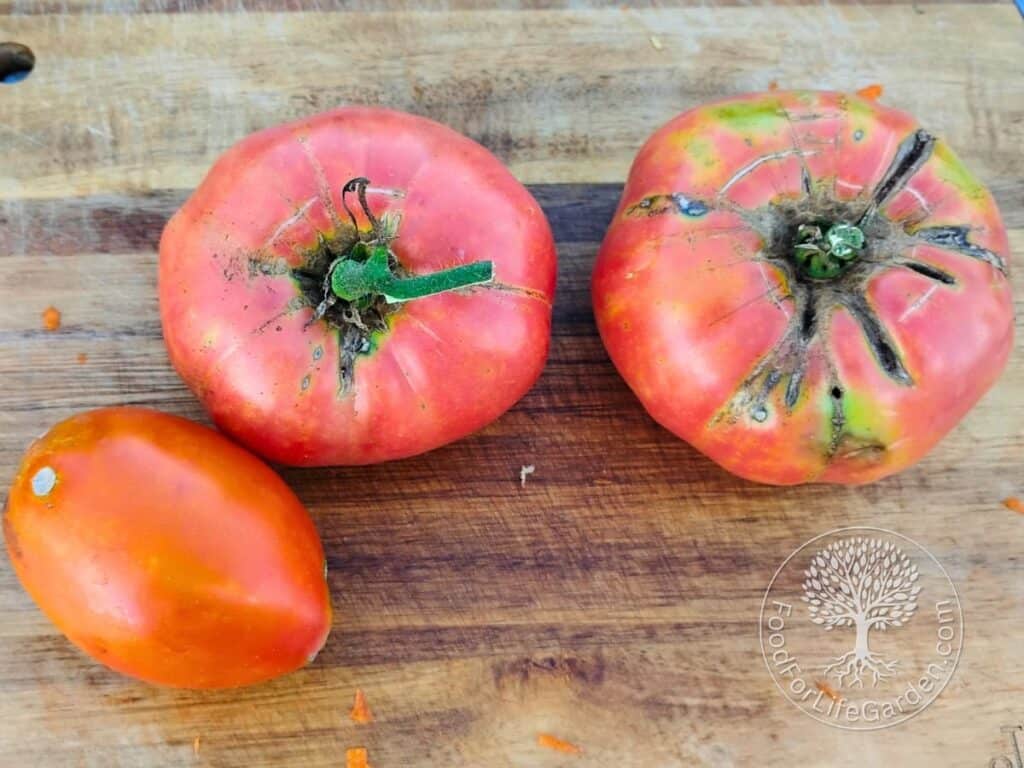 photo shows three large tomatoes on a cutting board.