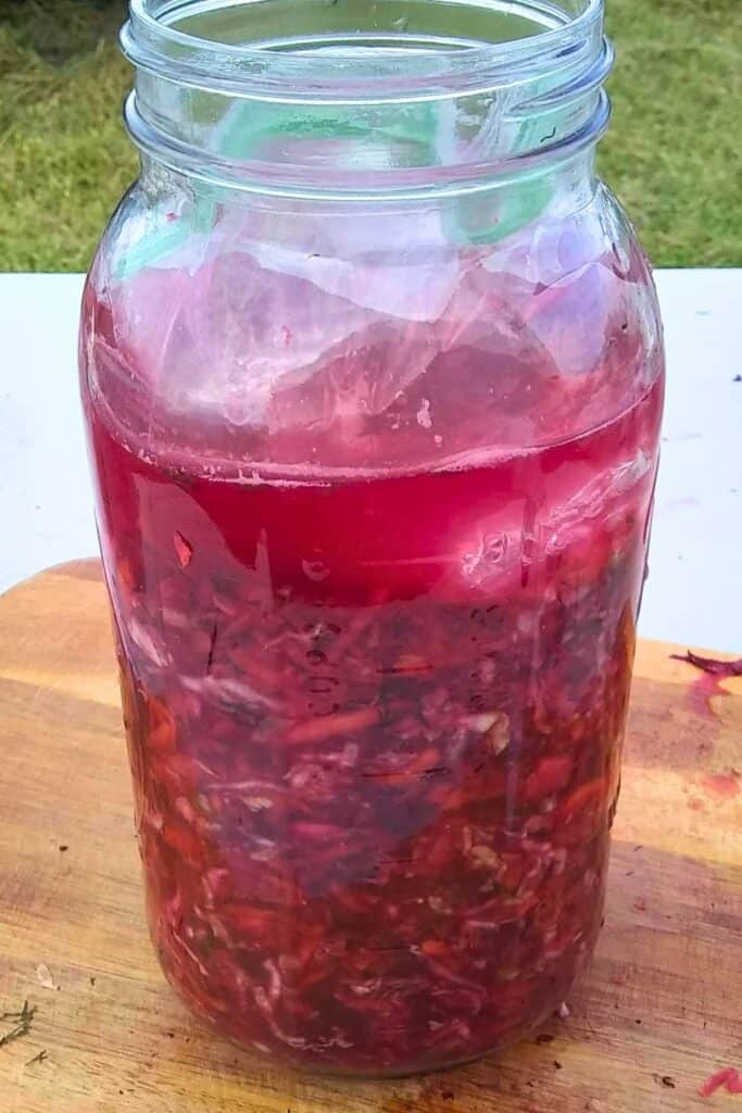 a jar filled with colorful deep red garden-slaw or coleslaw with root vegetables and topped with a brine-filled baggie to serve as a weight.