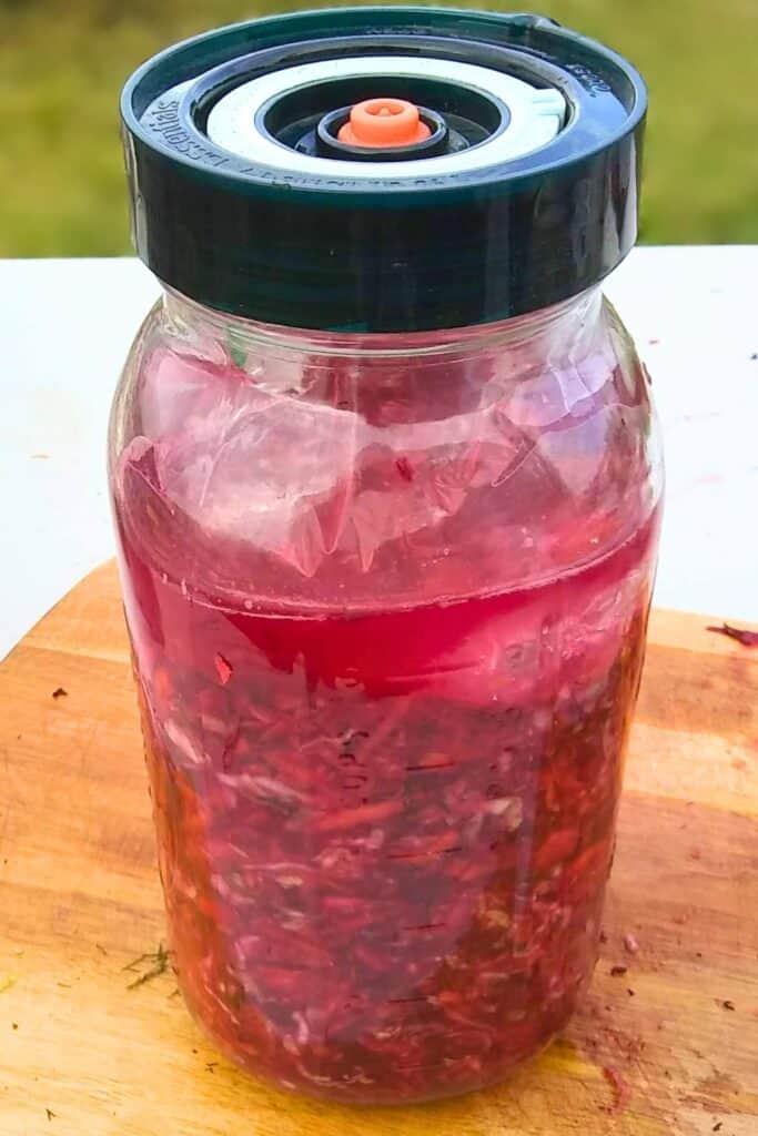 a jar filled with fermented coleslaw in brine with a fermentation lid on top.
