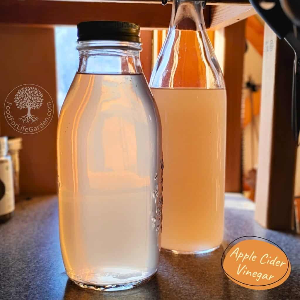 two bottles with homemade apple cider vinegar and a label that says apple cider vinegar.