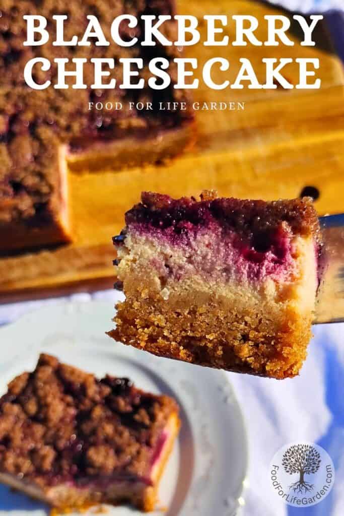 closeup photo of a piece of blackberry crumble cheesecake with a whole cake and a piece below on the table. text overlay reads blackberry cheesecake. foodforlifegarden.