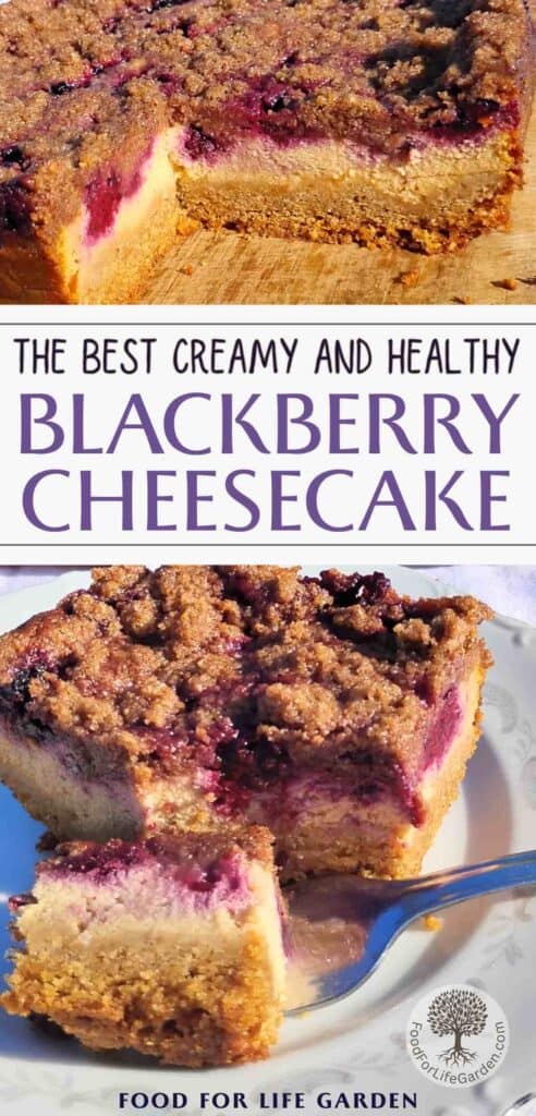 top photo shows a whole blackberry cheesecake streusel with a piece removed. below is a piece of blackberry cheesecake streusel bar on a plate with a piece removed on a fork. text overlay reads the best creamy and healthy blackberry cheesecake. food for life garden.