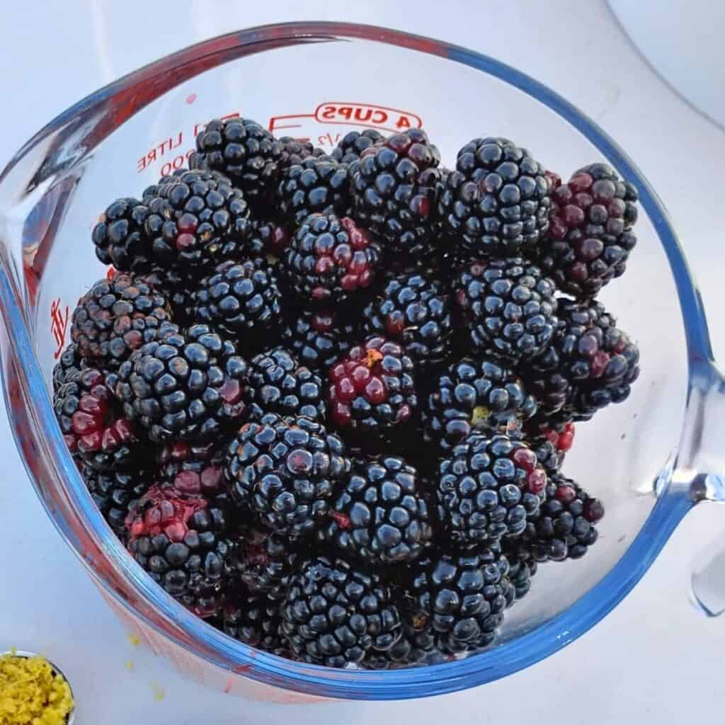 bowl with blackberries for making blackberry cheesecake bars.