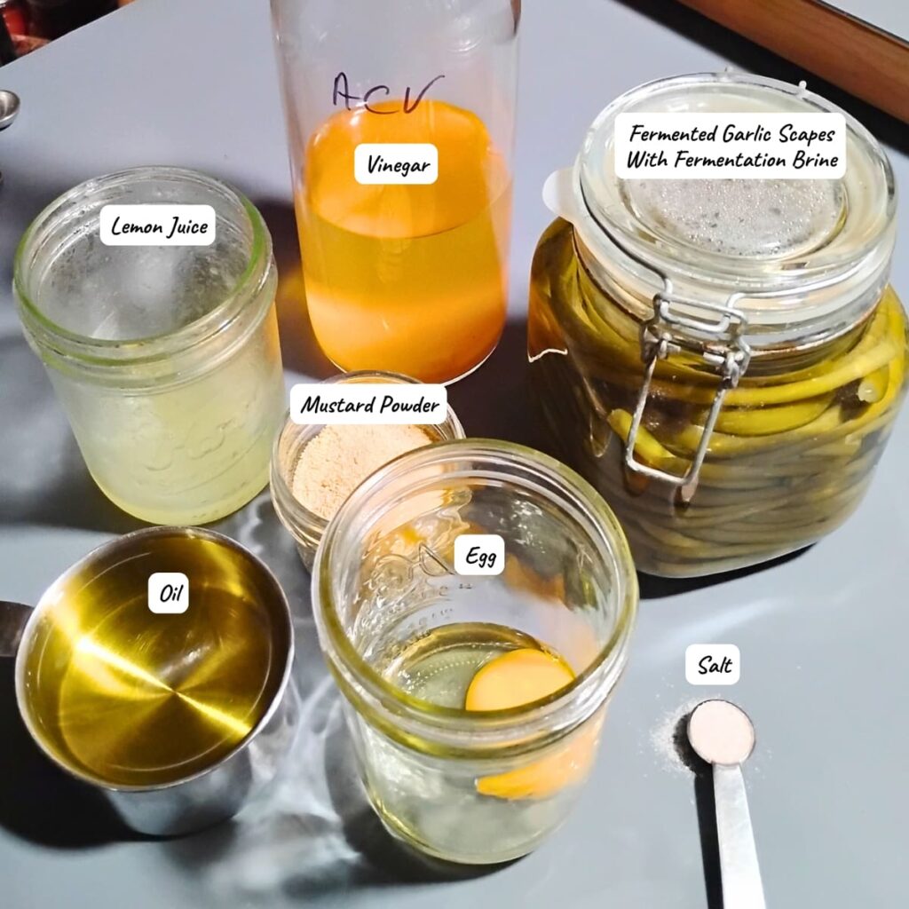 photo shows the ingredients for making fermented mayonnaise. Lemon juice, vinegar, mustard powder, oil, egg, salt and fermented garlic scapes with fermentation brine that will be used to preserve this mayonnaise.