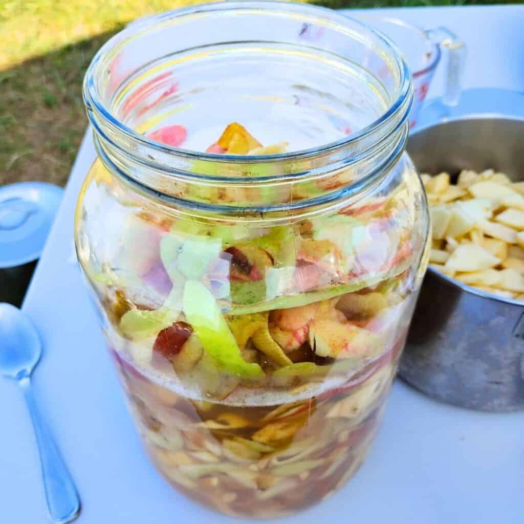 a jug with apples craps and water for making vinegar.