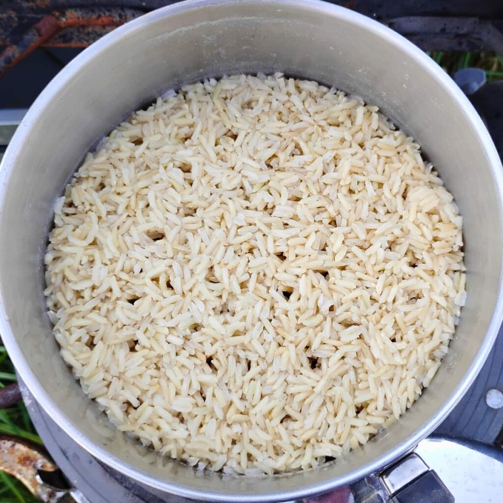 photo of cooked rice in a pot.
