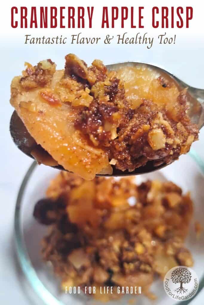 a spoon shows off a portion of healthy apple crisp, taken from a bowl below with more cranberry apple crisp below. text overlay reads cranberry apple crisp. Fantastic flavor and healthy too. food for life garden.