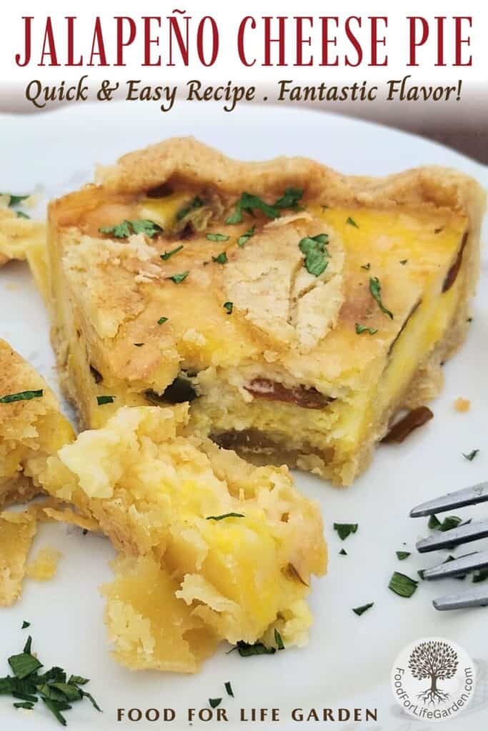 photo shows a slice of jalapeno pie with parsley sprinkled over it and a chunk has been cut off with a fork. text overlay reads jalapeno cheese pie. quick and easy recipe. fantastic flavor. 