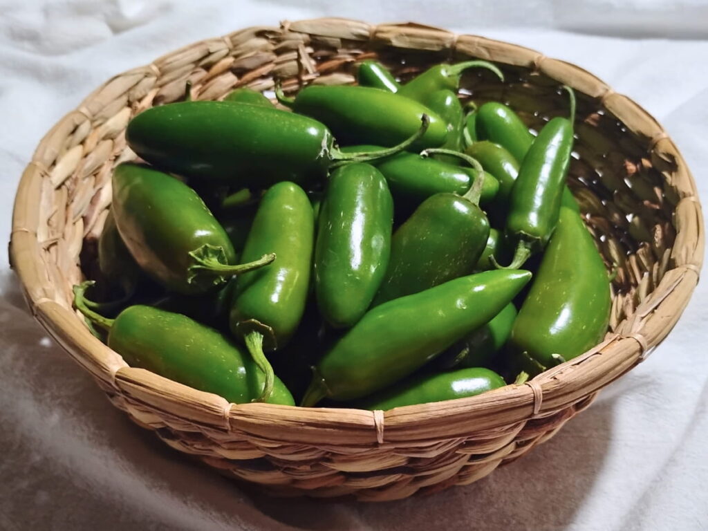 basket filled with green fresh jalapeno peppers