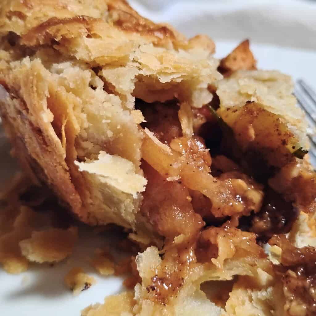 photo of a slice of pie, showing off the flaky pie crust it was baked in.