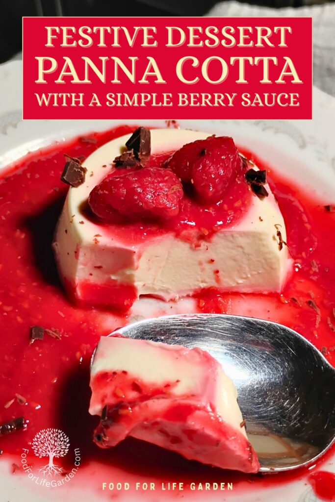photo of a portion of probiotic panna cotta with some raspberries on top in a lake of raspberry sauce. A piece has been removed by a spoon to show off the creamy interior. It is decorated with chocolate splinters. text overlay reads festive dessert panna cotta with a simple berry sauce.