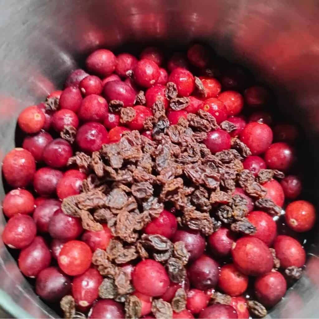 Cranberries and raisins in a pot with some hibiscus and rosehip spice tea.