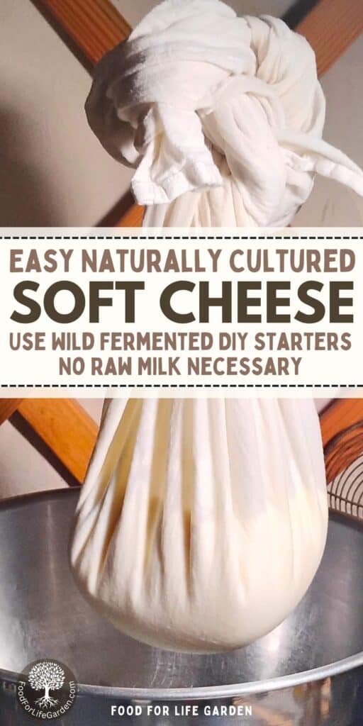 photo shows a bag of tied up cheesecloth filled with cheese curd hanging from the ceiling. below is a bowl to catch the whey draining from the bag. text overlay reads easy naturally cultured soft cheese. use wild fermented diy starters. no raw milk necessary. food for life garden.