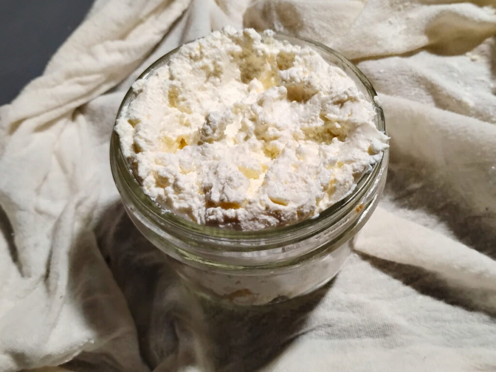 jar filled with soft cheese made with sourdough starter.