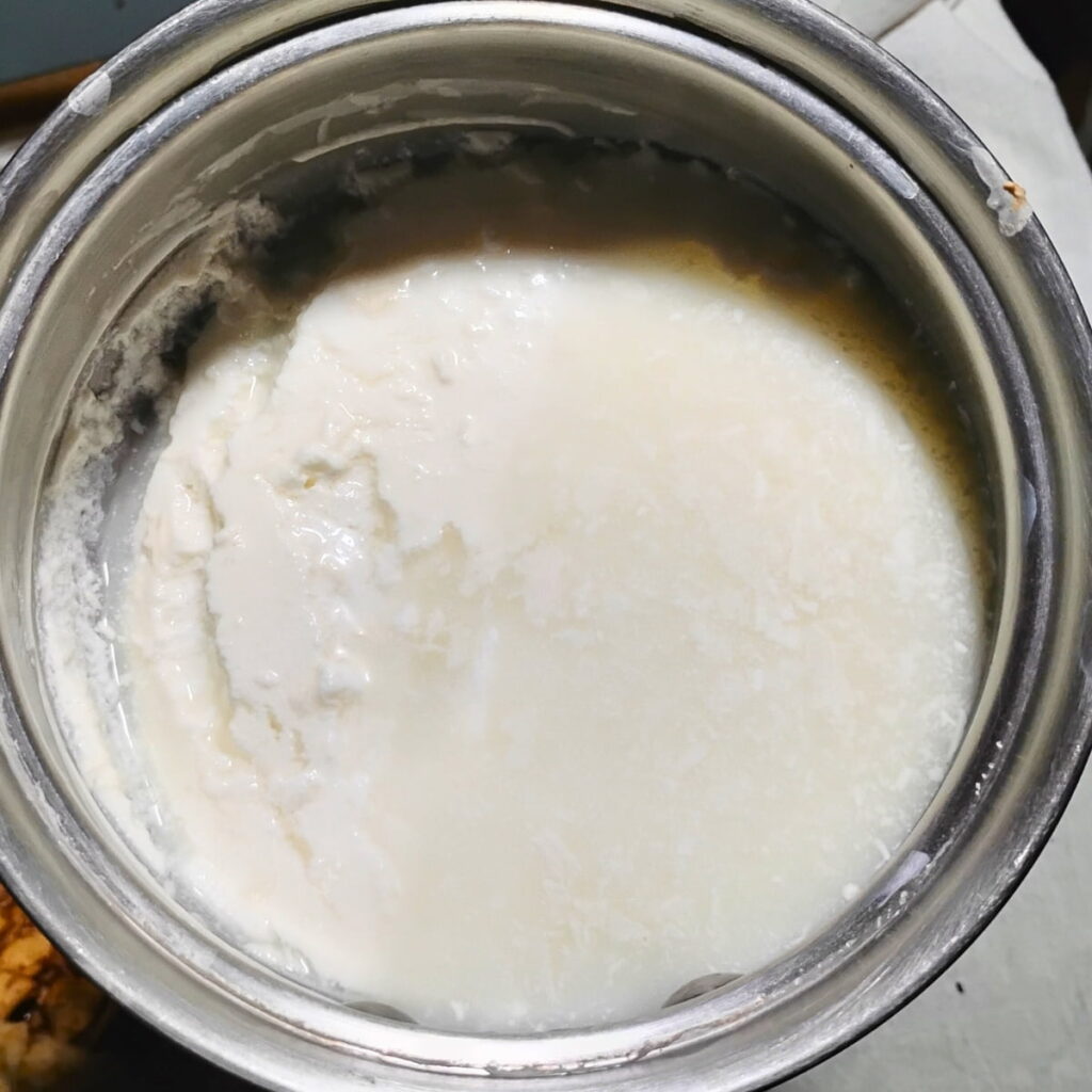 a pot with a pint of clabbered milk used to make cheese with sourdough starter