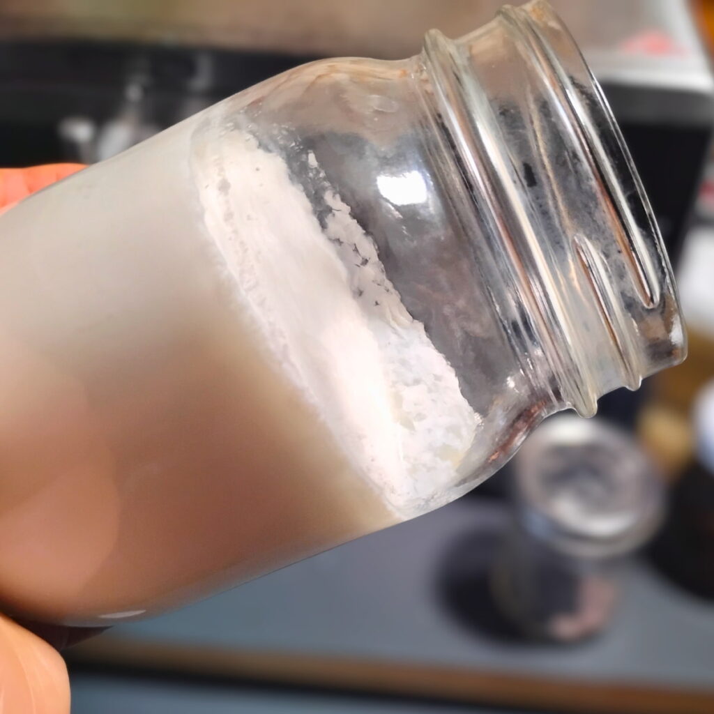 pint jar filled with thick clabber and held sideways to demonstrate that the contents are thick and not liquid anymore. 