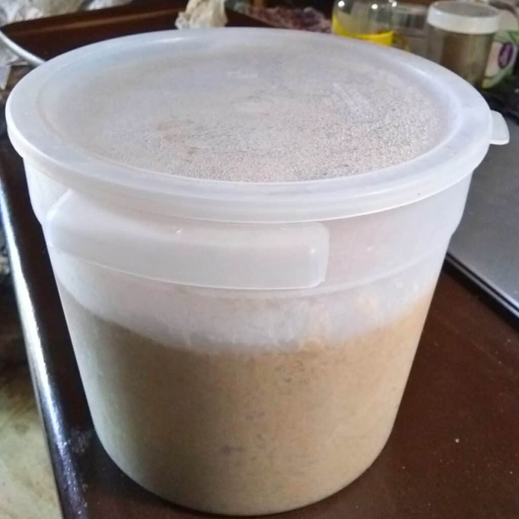 a container filled with bread dough.
