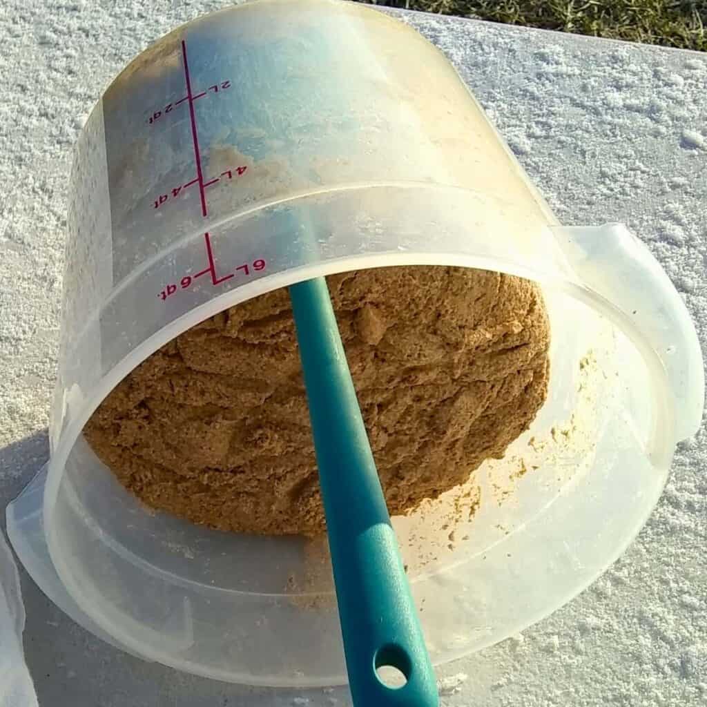 a container filled with proofed bread dough and a spatula loosening the sides. 