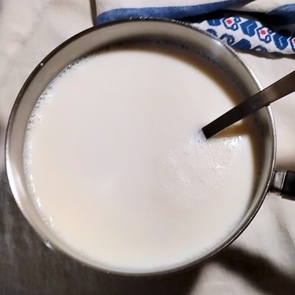 A 3 quart pot filled with half a gallon of milk and a spoon for stirring to make cheese with sourdough starter