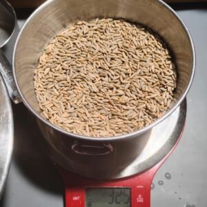 a bowl filled with whole rye grains on a scale.