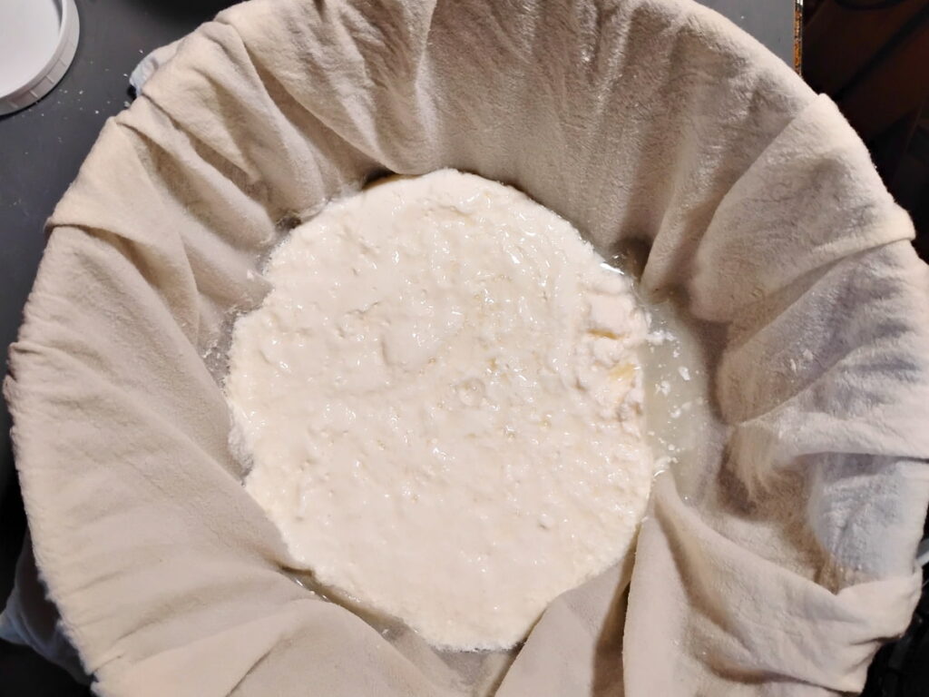 a cloth lined bowl with clabbered cheese in it. 