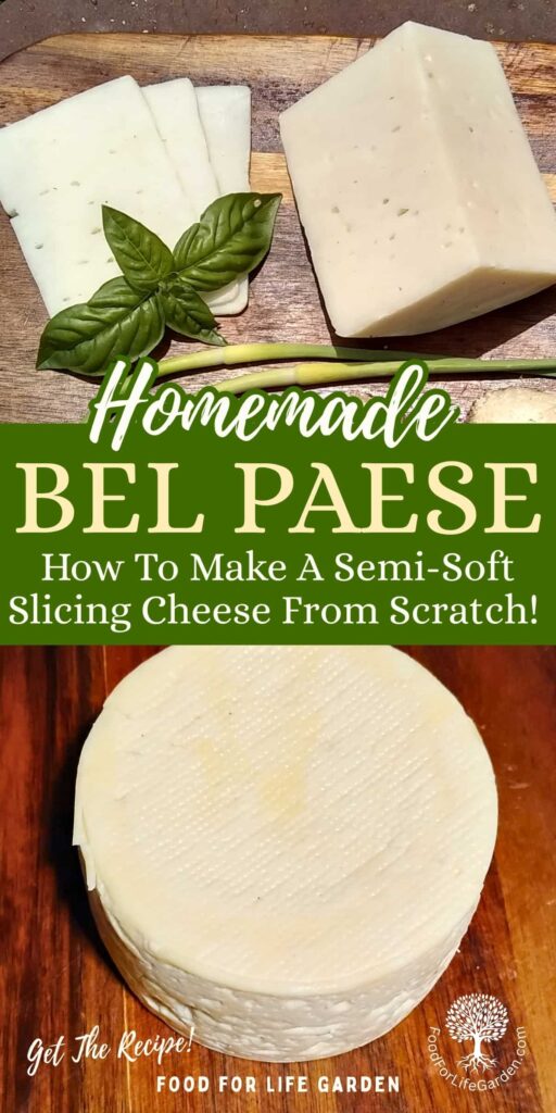 photo at the top shows a chunk of bel paese cheese on a cutting board with a few slices next to it. below is a full round of bel paese cheese ready for aging. text overlay reads homemade bel paese. how to make a semi-soft slicing cheese from scratch. get the recipe. food for life garden.