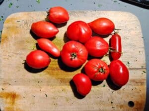 tomatoes on a cutting board.