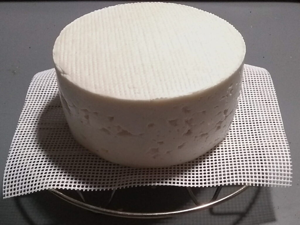 a finished loaf of bel paese cheese, drying overnight on a rack and a silicone mesh mat, before it goes into the fridge.
