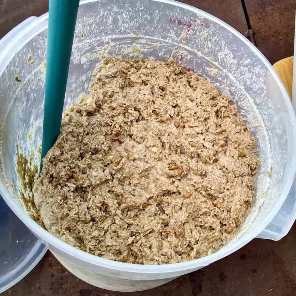 dough in a container is getting loosened from the sides.